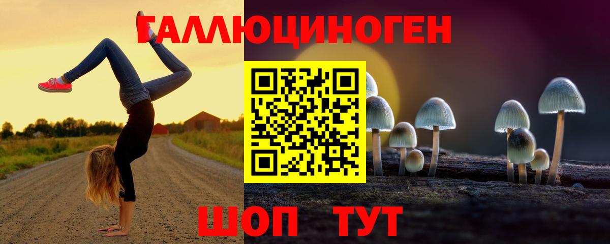 Галлюциногенные грибы мухоморы Калининград