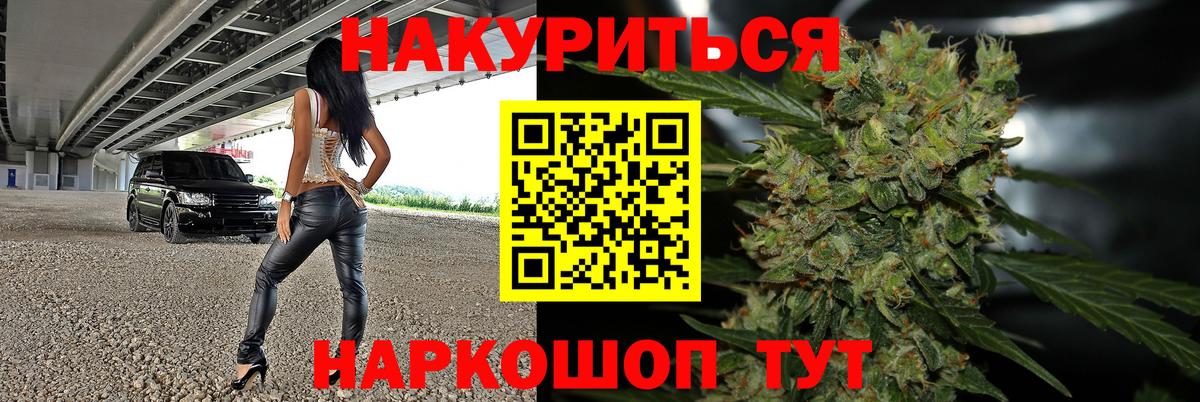 Каннабис планчик Калининград